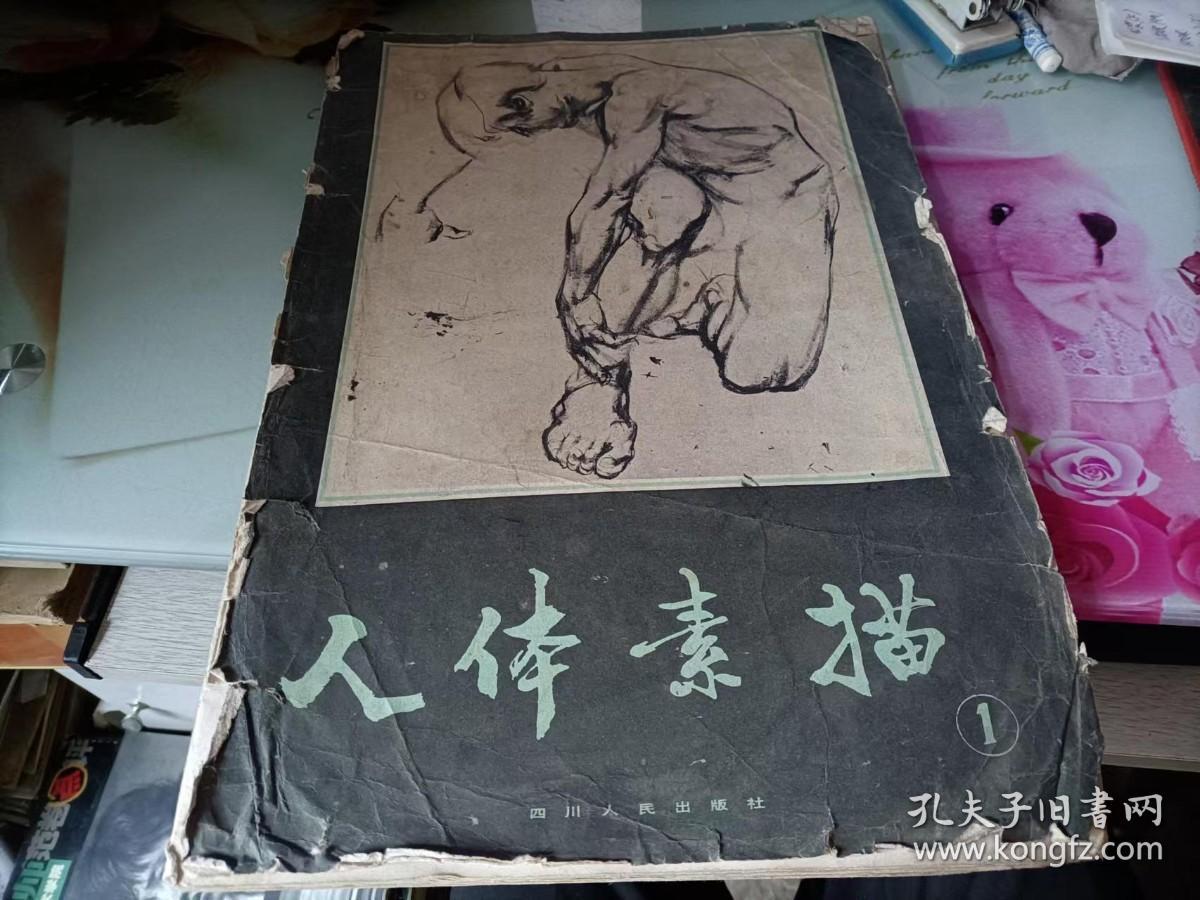 点击查看原图 人体素描1