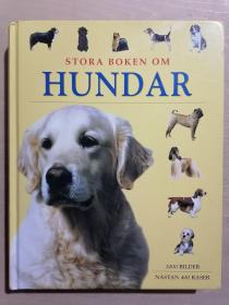 《STORA BOKEN OM  HUNDAR》【原版外文图书  图文并茂】（大16开精装 铜版彩印）九品