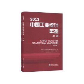 中国工业统计年鉴2013（上下册）