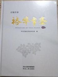 裕华年鉴2020（石家庄）