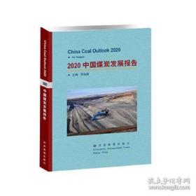 2020中国煤炭发展报告