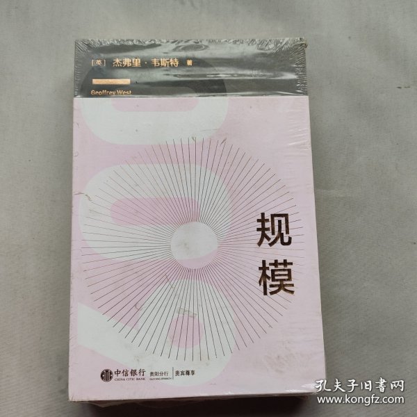 规模：复杂世界的简单法则