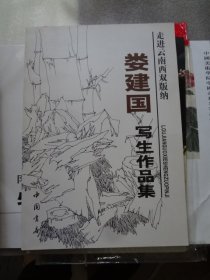 走进云南西双版纳：娄建国写生作品集  （一册）