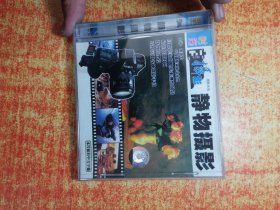 VCD 光盘 静物摄影