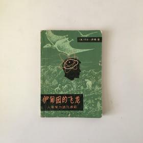 伊甸园的飞龙