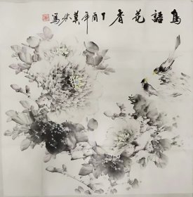D022 四尺国画 花鸟斗方 牡丹图 鸟语花香 68x68