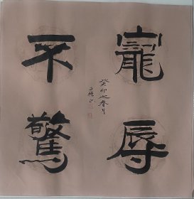 b005 三尺精品书法 宠辱不惊 45x45