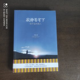 寂静苍穹下：回不去的旅人