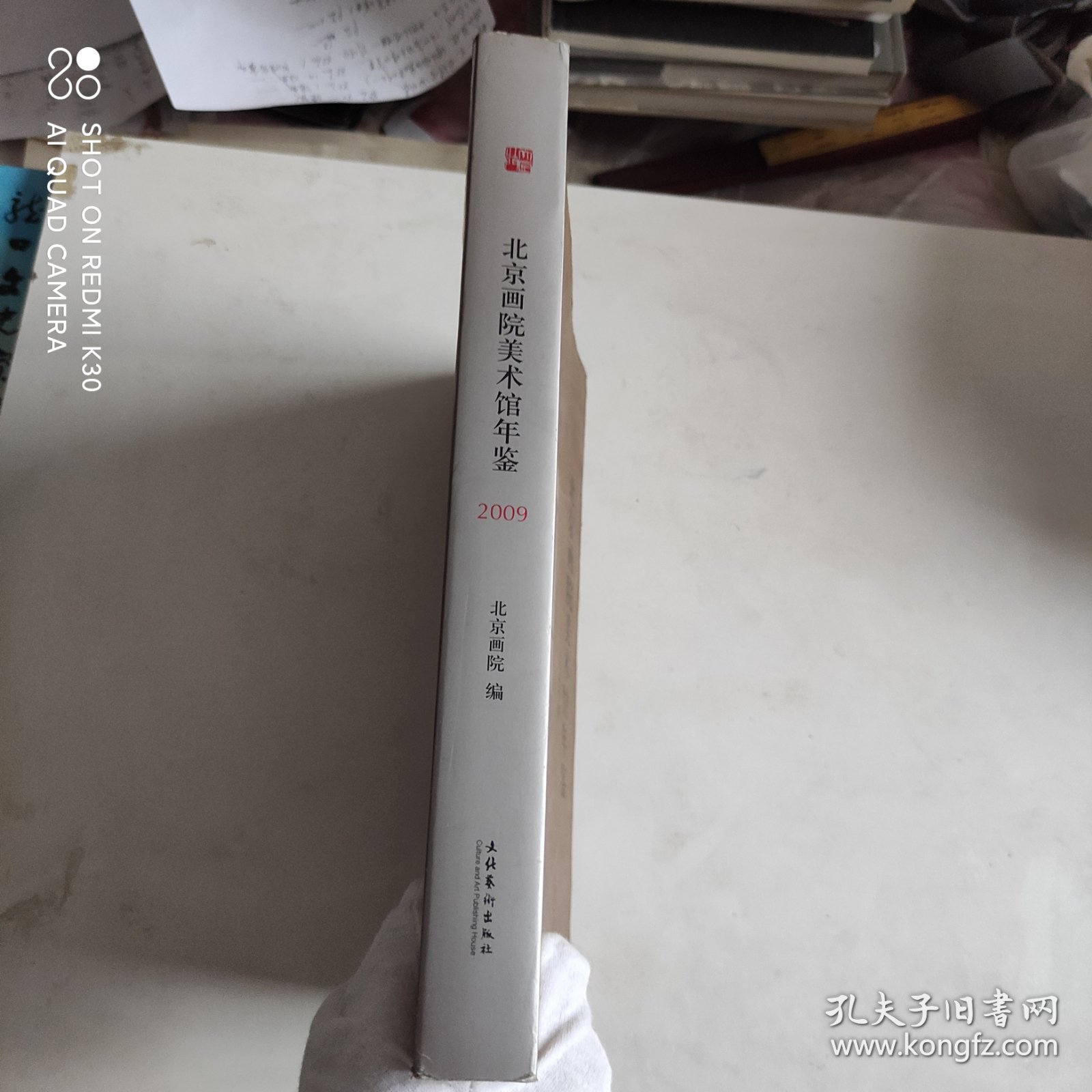北京画院美术馆年鉴2009