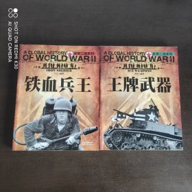 全景二战系列：王牌武器+ 铁血兵王 两本合售