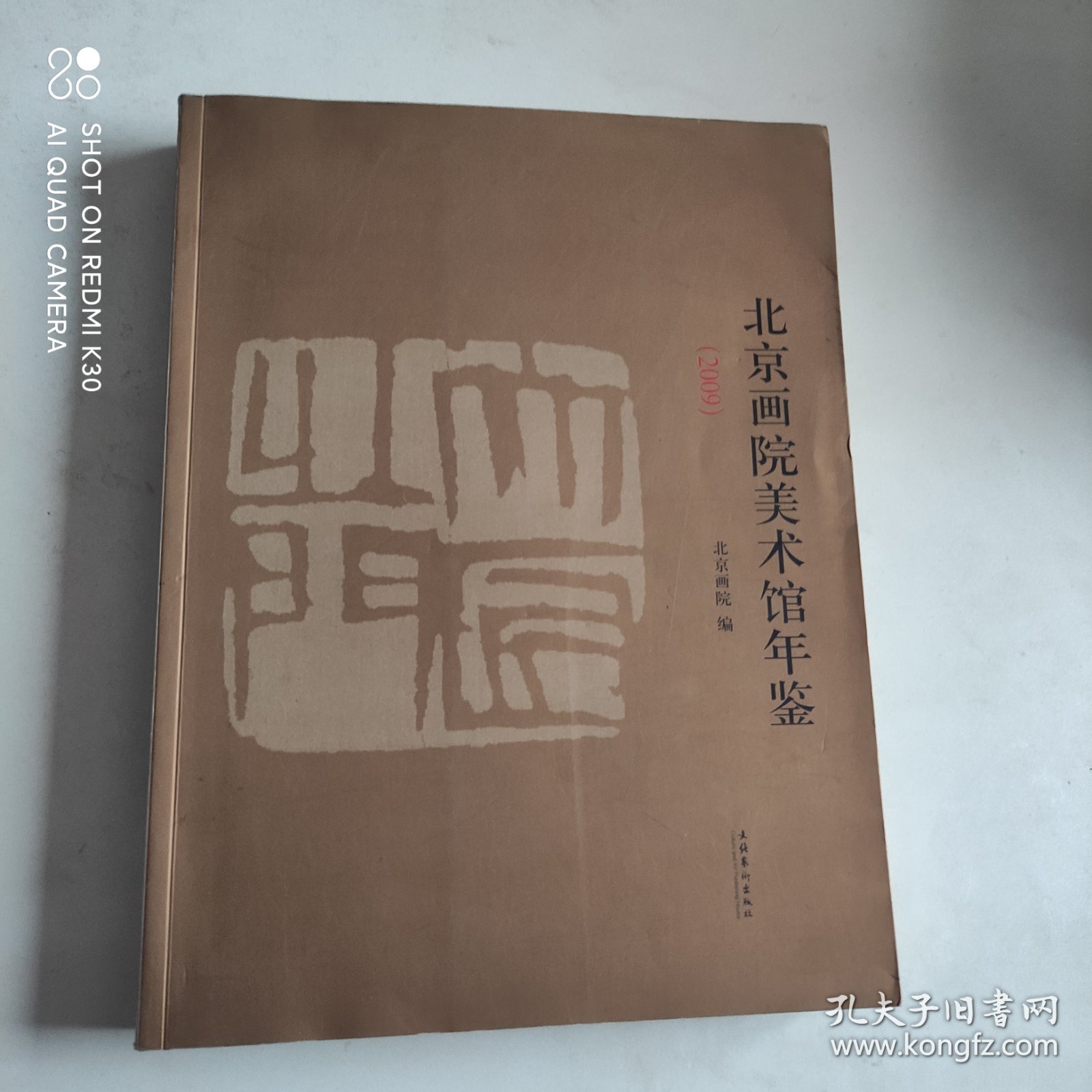 北京画院美术馆年鉴2009