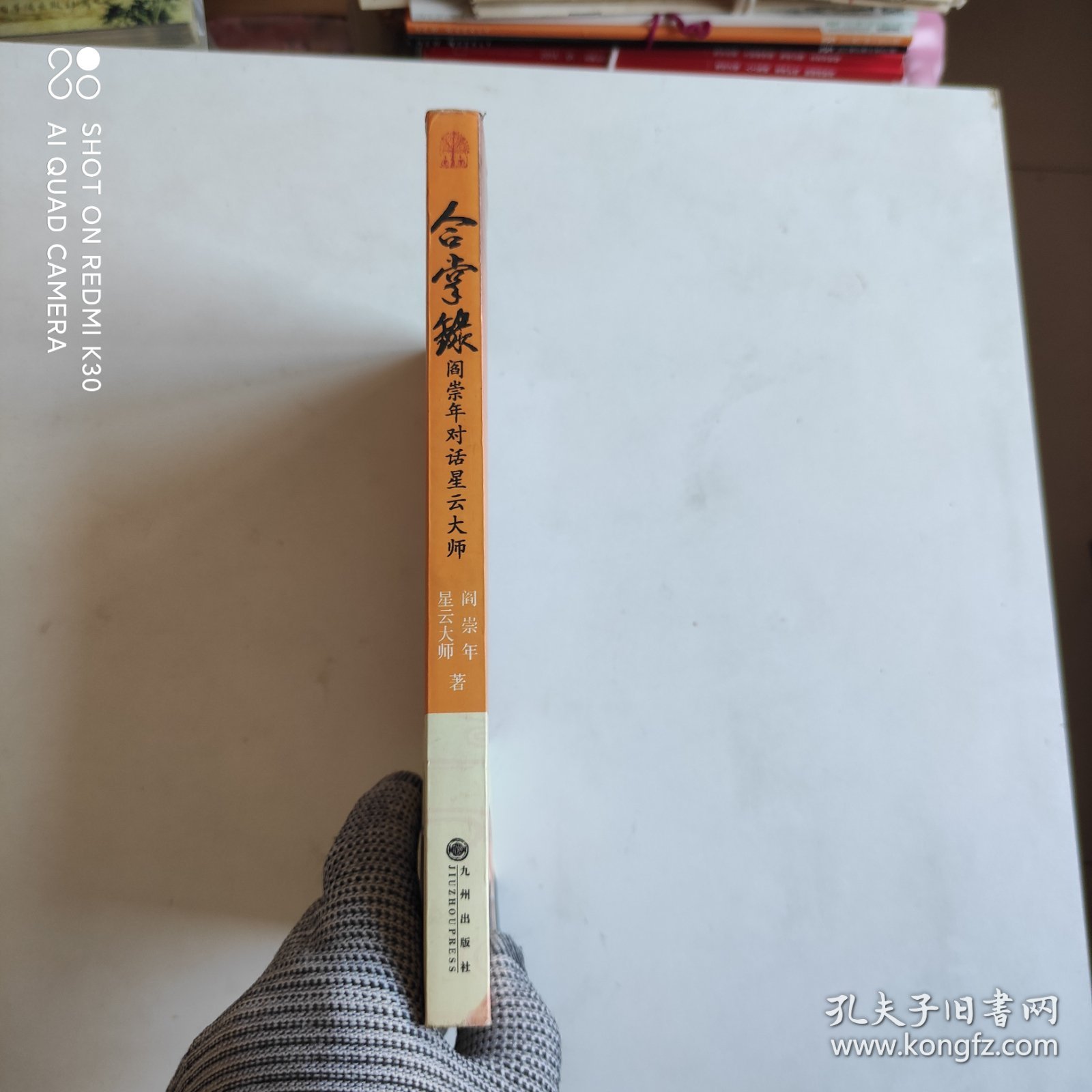 合掌录：阎崇年对话星云大师