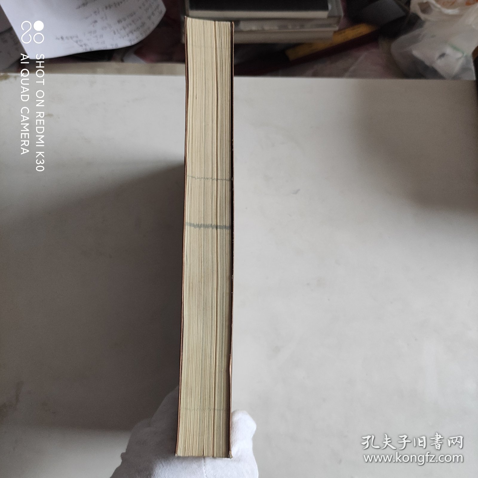 北京画院美术馆年鉴2009