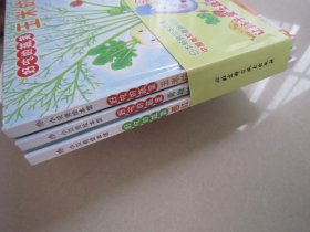 好吃的蔬菜