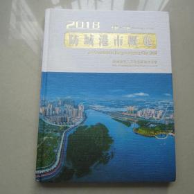 2018 防城港市概览（中国 广西）16开精装本