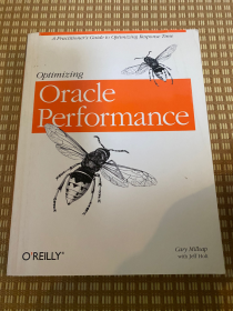 Optimizing Oracle Performance