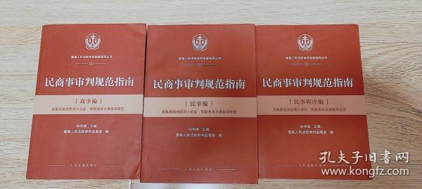 人民法院出版社 民商事审判规范指南