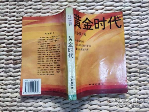 【珍罕】黄金时代 平装 王小波作品 1994年7月 一版一印  6000册