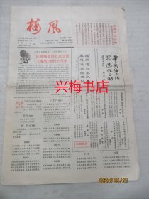 梅风——2000年第三期 总第40期（客家地区诗歌类老报纸）