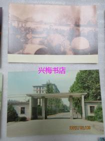 明信片：北京师范大学（共10张）