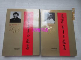 毛泽东手书选集（第九、十卷 古诗词卷上·下2册）——带函盒