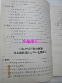 钟氏族谱——开梅、逸叟公修谱委员会1996年秋版