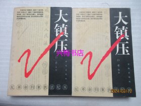 大镇压：反革命归案伏法纪实（上下卷）