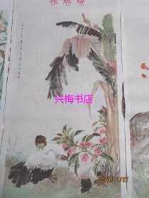 花鸟屏·二（水仙鸽鹰、凤仙小鸡、榴花双鸽、紫薇穿山凤·四条屏）——唐云、江寒汀、吴青霞、张大壮作，上海人美出版，1960年第6次印刷