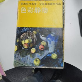 色彩静物（美术院校高考.业余美术辅导作品）