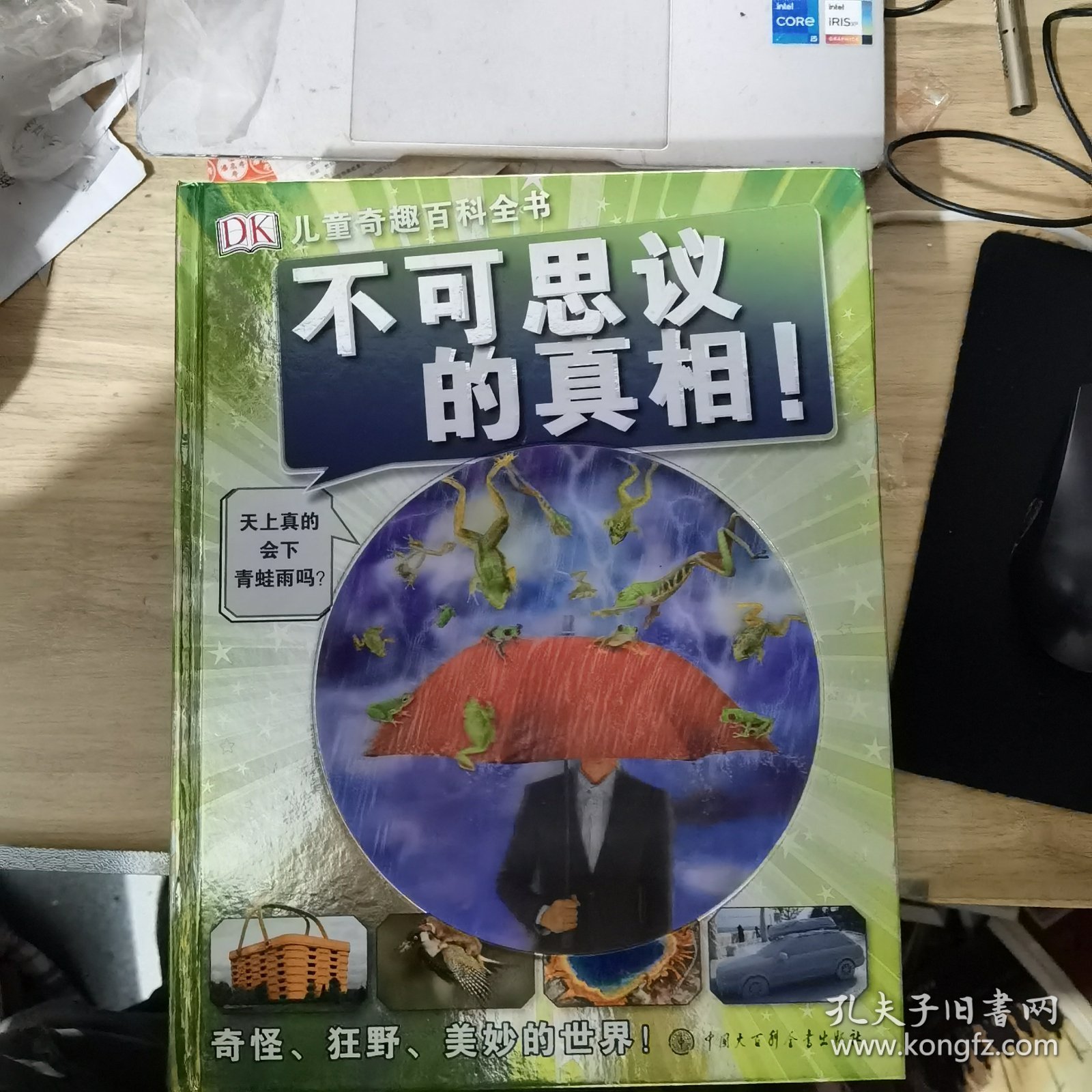 不可思议的真相！（DK儿童奇趣百科全书）