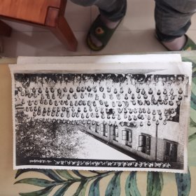 1985年中共铜陵市委党校首届正规化培训班开学典礼留影