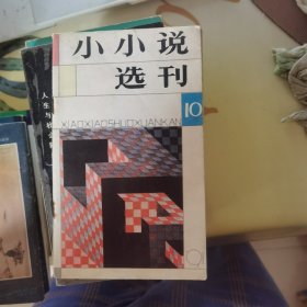 小小说选刊：1991年第10期