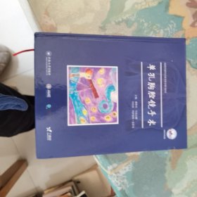 单孔胸腔镜手术（含光盘）