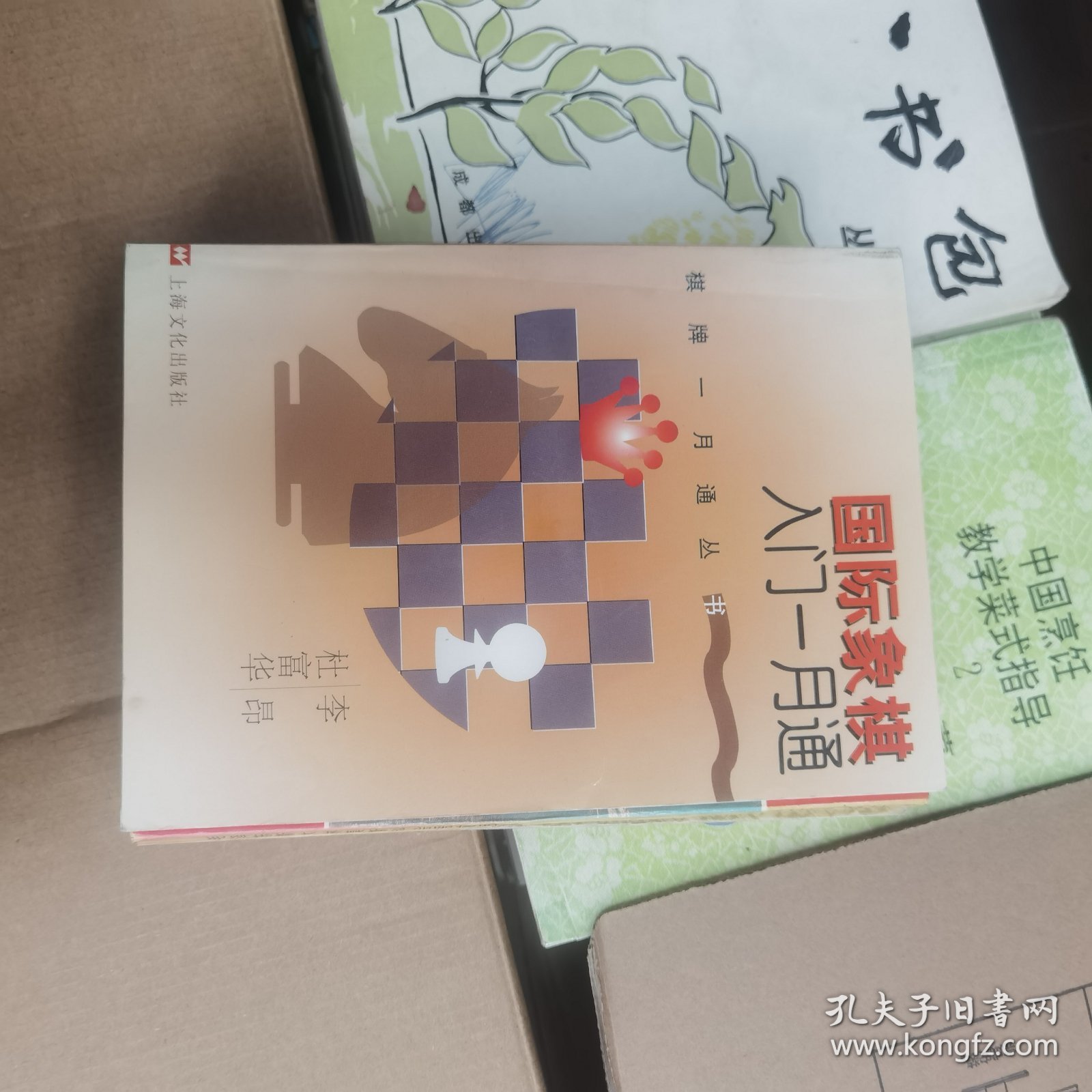 国际象棋入门一月通