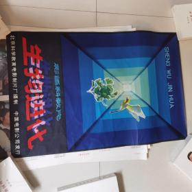 北京科学教育电影制片厂彩色科教片：生物进化  电影海报