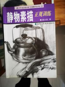 静物素描正规i训练