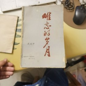 難忘的歲月