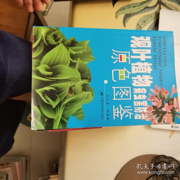 观叶植物病虫害防治原色图鉴