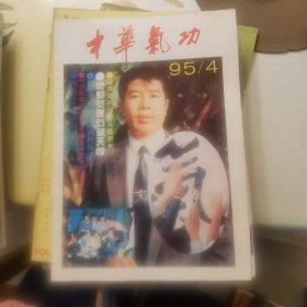 中华气功：1995年第4期