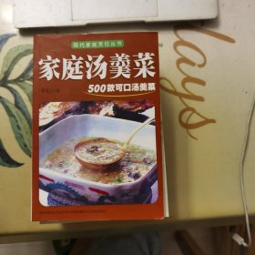 家庭汤羹菜：500款可口汤羹菜（现代家庭烹饪丛书）