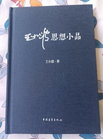 王小波思想小品   布面精装1版1印   中国青年出版社