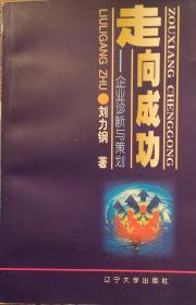 走向成功——企业诊断与策划