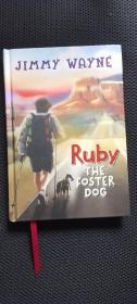 Ruby the Foster Dog（畅销书，插图丰富）