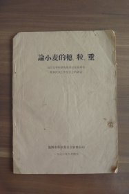 论小麦的穗，粒，重