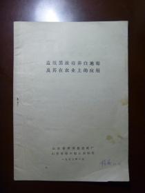 造纸黑液培养白地霉及其在农业上的应用