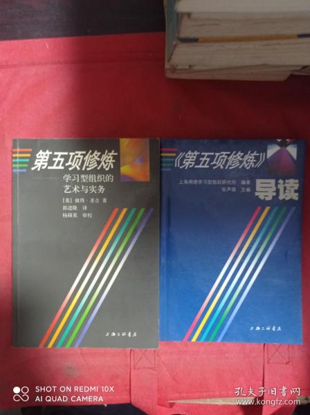 第五项修炼：学习型组织的艺术与实务