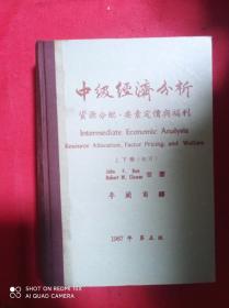 中級經(jīng)濟分析  上下冊
