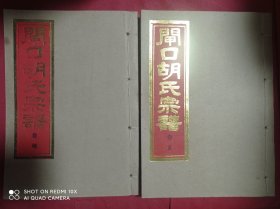 湖北孝感汉川 闸口胡氏宗谱 安定堂 卷首 卷一至卷十一 卷尾 全套19册 线装16开本 有木盒