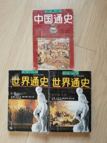 中国通史绘画本 5宋辽金元