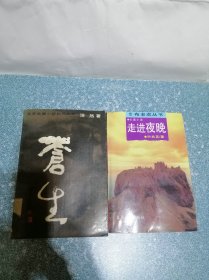 走进夜晚 、苍生（2本合售）